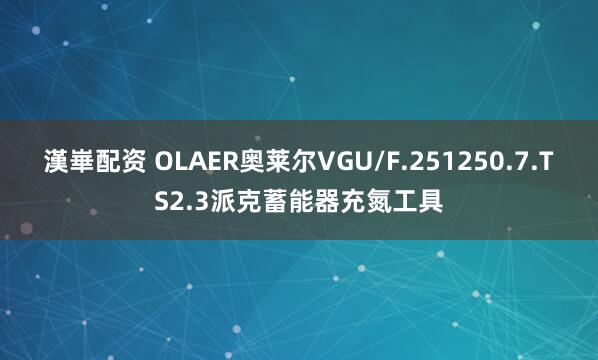 漢崋配资 OLAER奥莱尔VGU/F.251250.7.TS2.3派克蓄能器充氮工具