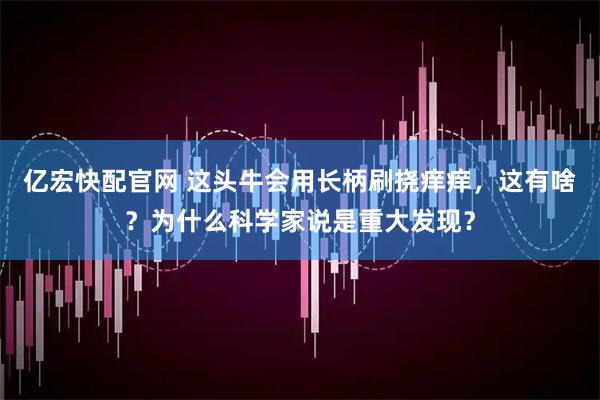 亿宏快配官网 这头牛会用长柄刷挠痒痒，这有啥？为什么科学家说是重大发现？